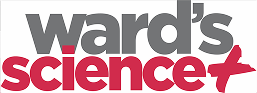 companie logo