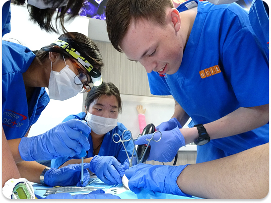 Live training event photo 1